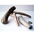 Flint River Ranch Deer Antler Dog Chews